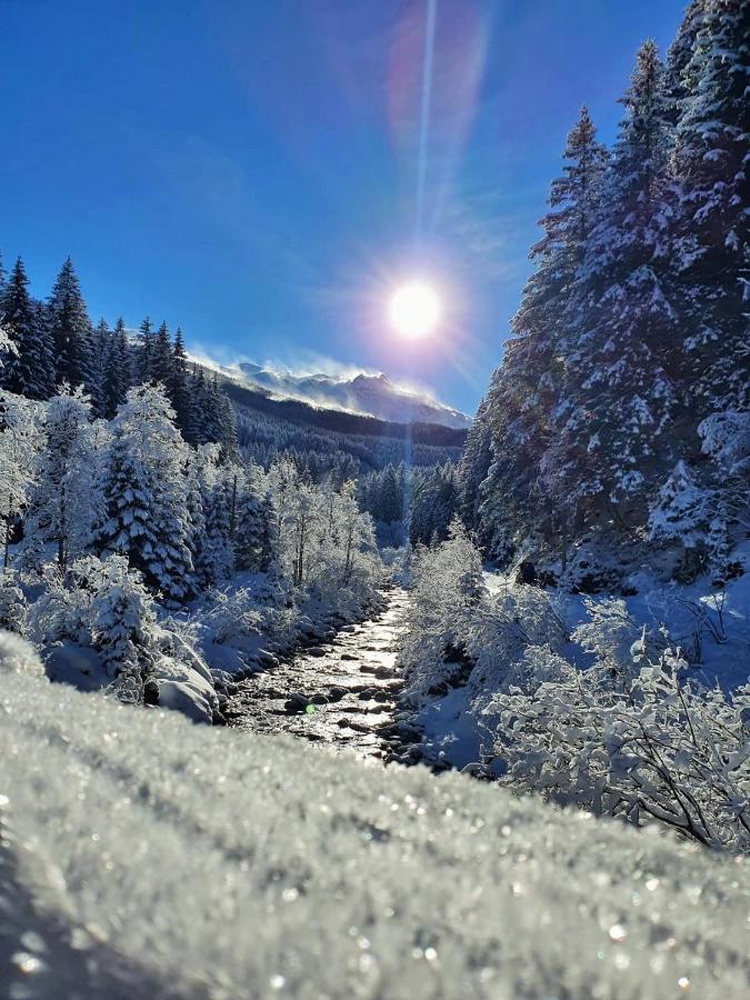 Apartment Tauernfex Kaprun Eksteriør bilde