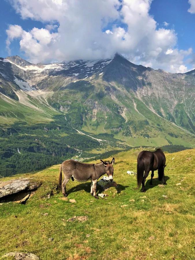 Apartment Tauernfex Kaprun Eksteriør bilde